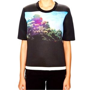Sandro Graphic Realistic Print Neoprene Top - Size 2 (Medium)